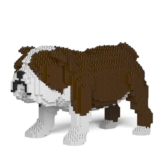 Anglický buldog 01